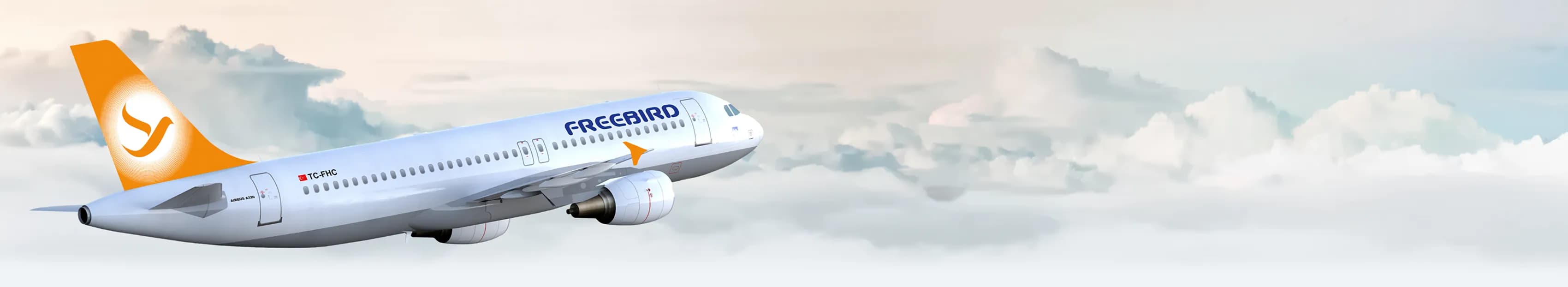 Lost, Damaged and Delayed Baggage